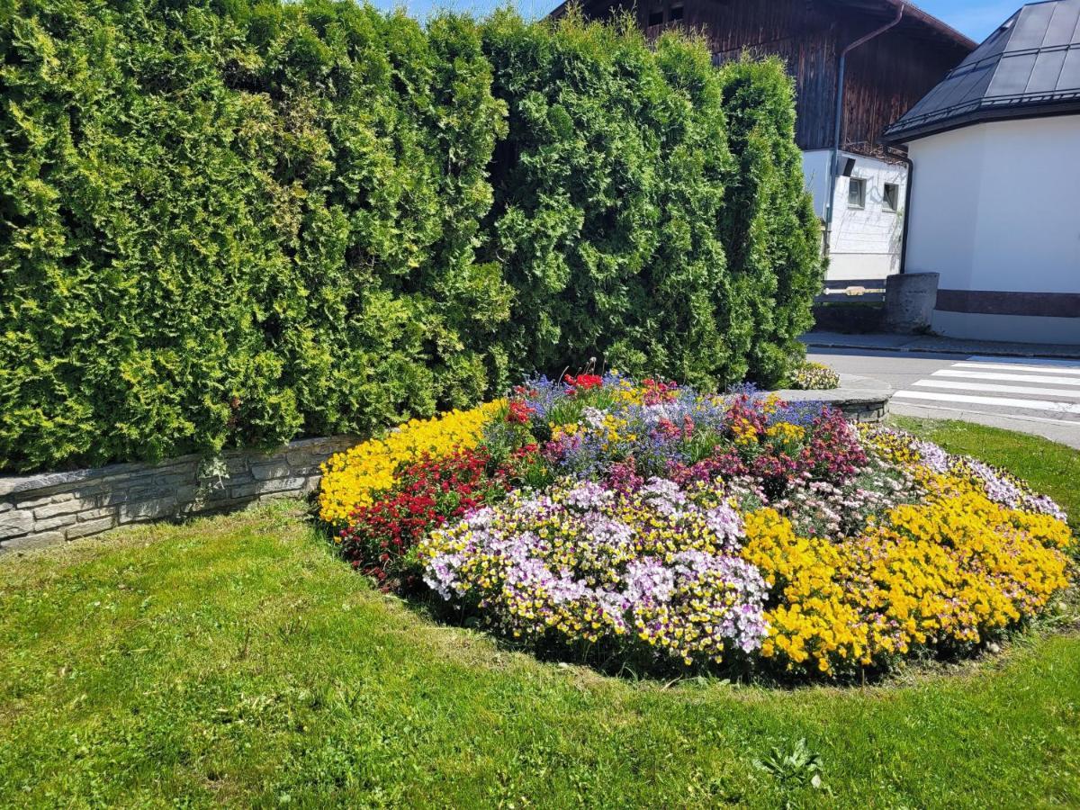 Ferienwohnung Schatz Breitenwang Екстериор снимка